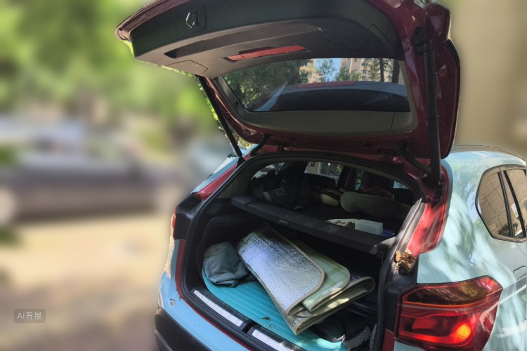BMW X1 2018 #21 BMW X1 2018 immagine di auto #21