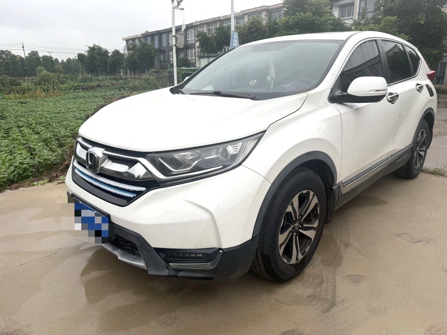 Honda CR-V 2019 Honda CR-V 2019 car image