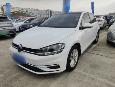 Volkswagen Golf 2019 car image 
