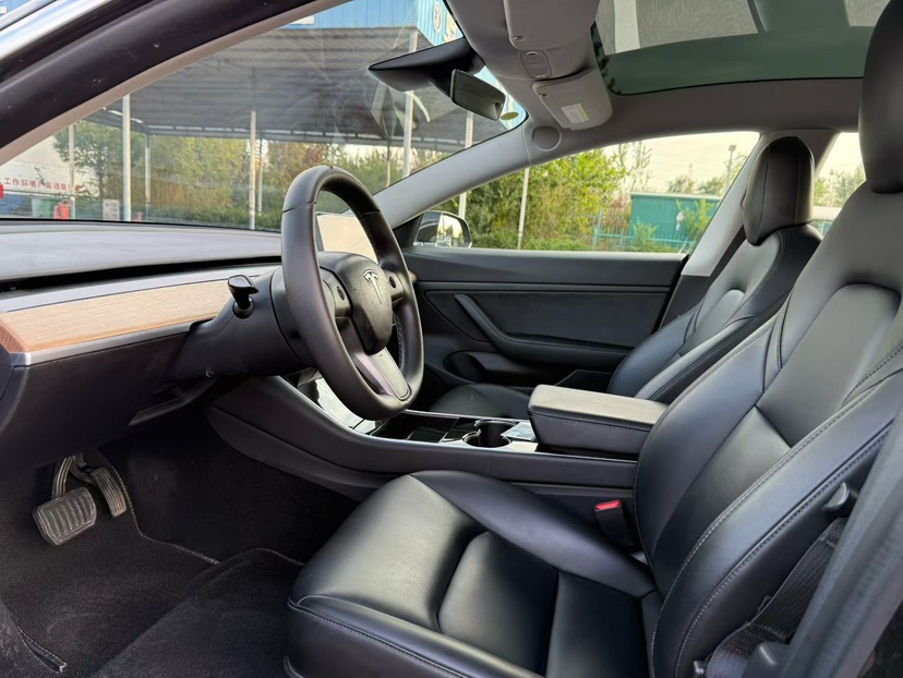 Tesla Model 3 2020 immagine di auto #5