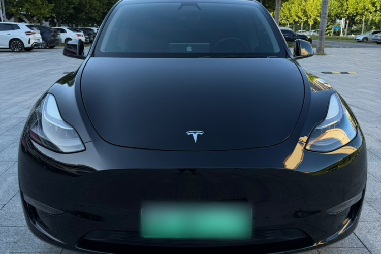 Tesla Model Y 2021 car image #7