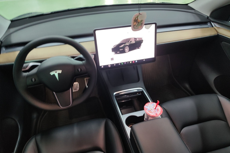 Tesla Model Y 2022 car image #10