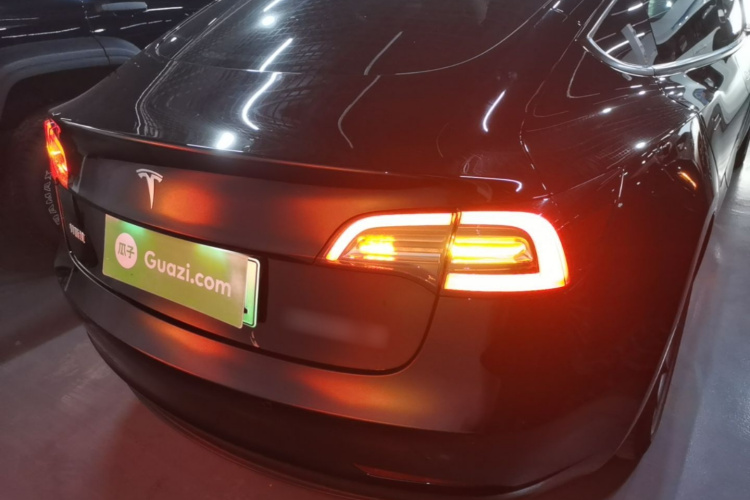 Tesla Model 3 2023 car image #6