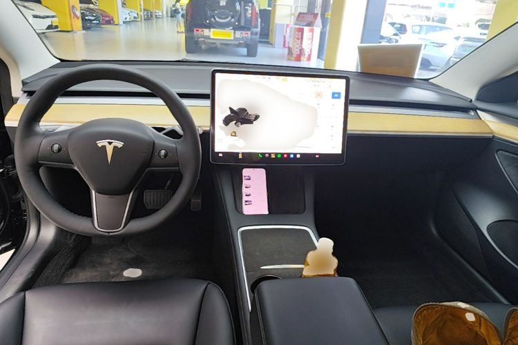 Tesla Model 3 2022 изображение автомобиля #10