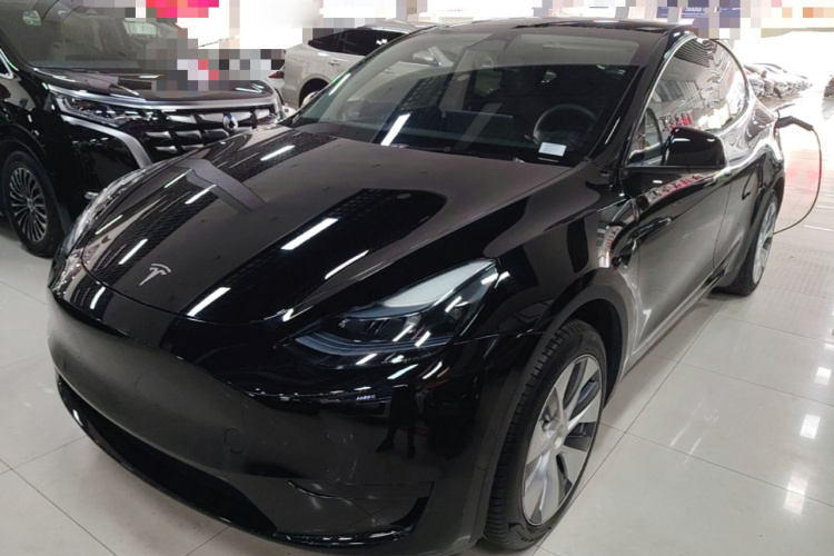 Tesla Model Y 2023 #2 Tesla Model Y 2023 car image #2