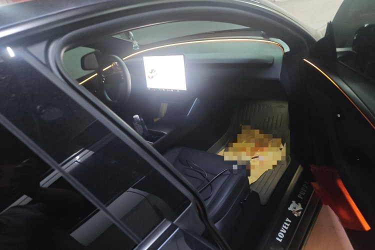 Tesla Model Y 2026 car image #23