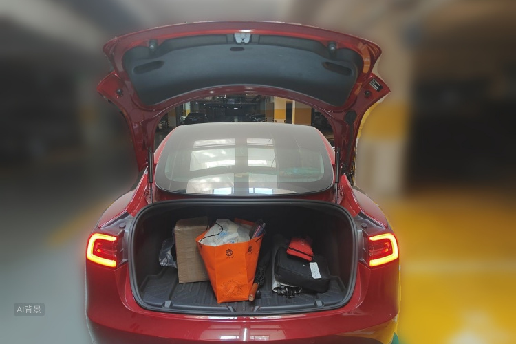 Tesla Model 3 2020 car image #21