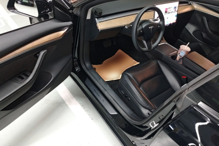 Tesla Model 3 2021 car image #16