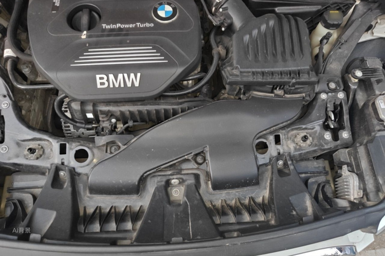 BMW X1 2017 car image #22