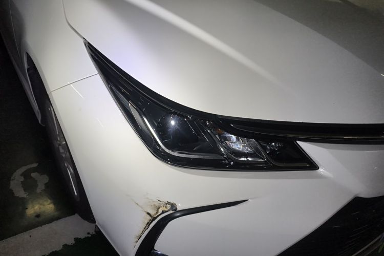 Toyota Corolla 2021 car image #8