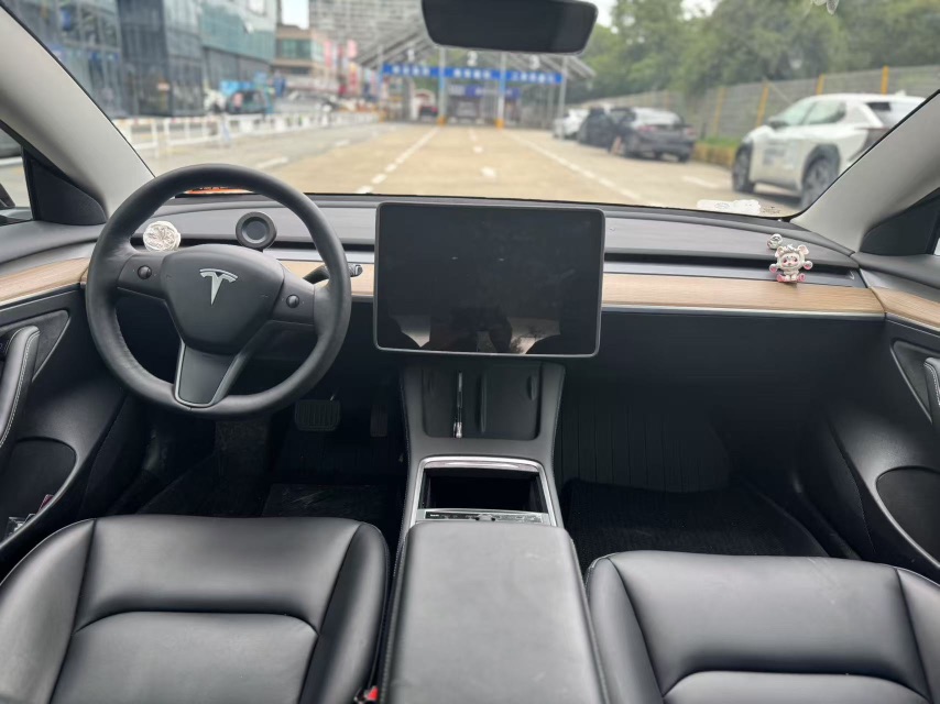 Tesla Model 3 2023 #9 Tesla Model 3 2023 car image #9