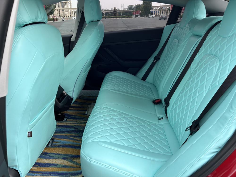Tesla Model 3 2020 car image #11