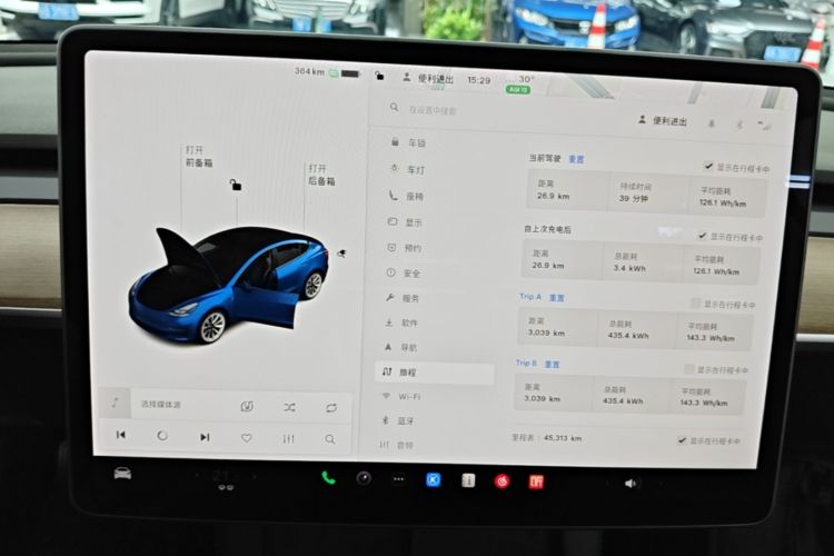 Tesla Model 3 2021 car image #12