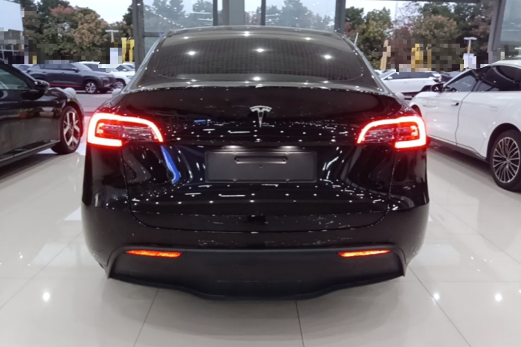 Tesla Model Y 2021 car image #6