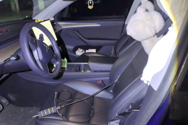 Tesla Model Y 2021 #15 Tesla Model Y 2021 car image #15