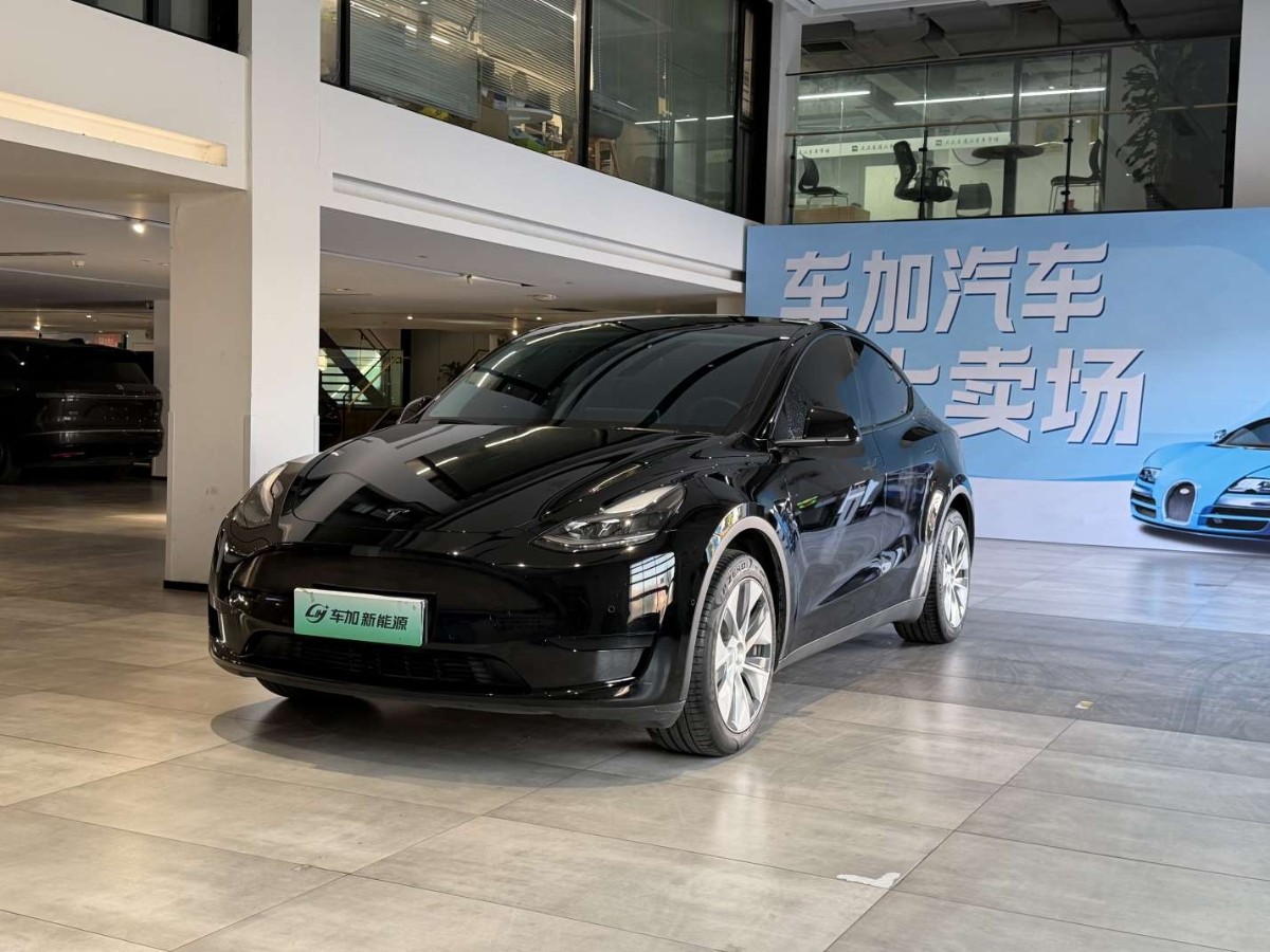 Tesla Model Y 2023 Tesla Model Y 2023 car image