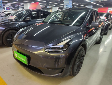 Tesla Model Y 2024 Tesla Model Y 2024 car image