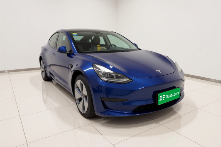 Tesla Model 3 2021 car image #4