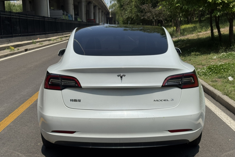 Tesla Model 3 2021 #6 Tesla Model 3 2021 car image #6