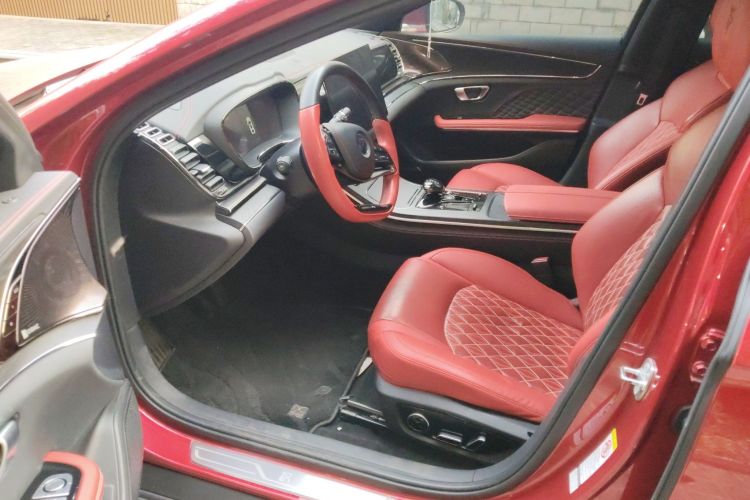 BYD Han 2020 imagen de coche #19