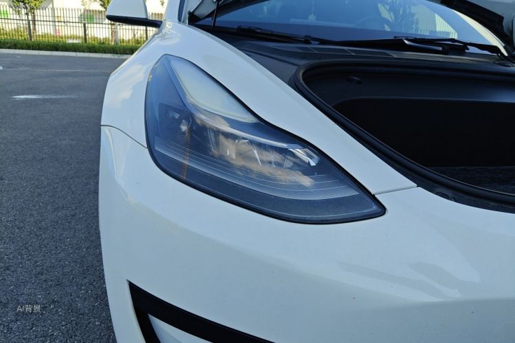 Tesla Model 3 2021 car image #8