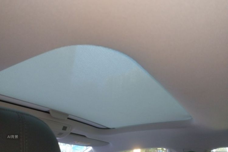 Volkswagen Polo 2020 car image #20
