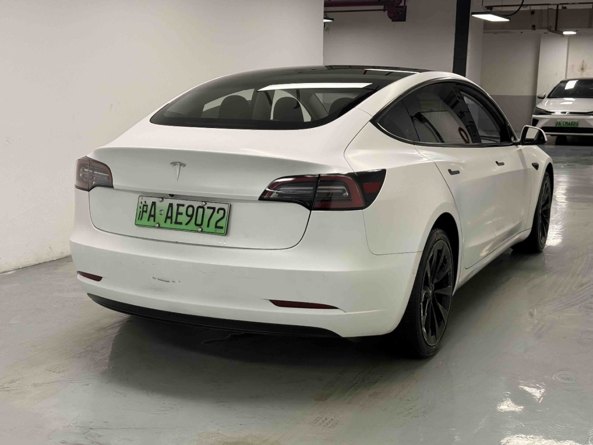 Tesla Model 3 2022 car image #6