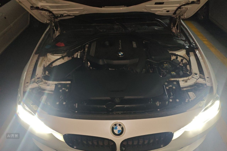 BMW 3 Series 2019 car image #22