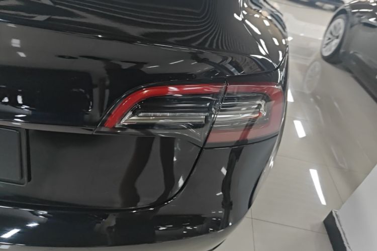 Tesla Model 3 2020 car image #8
