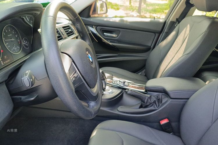 BMW 3 Series 2016 car image #17