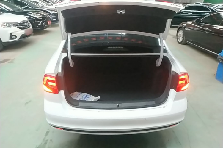 Volkswagen Bora 2021 car image #19