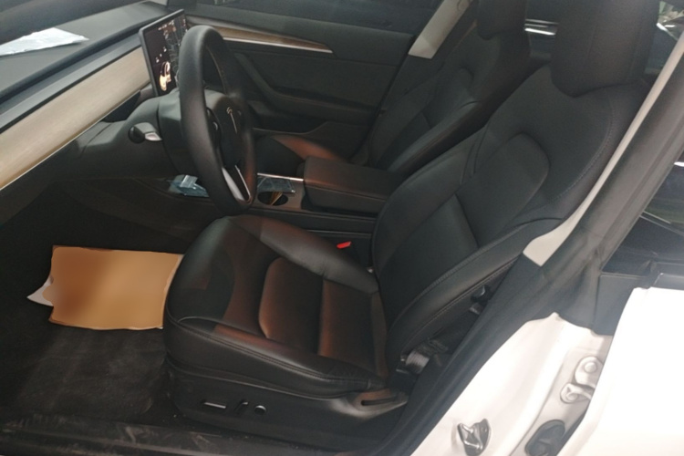 Tesla Model 3 2021 #15 Tesla Model 3 2021 car image #15