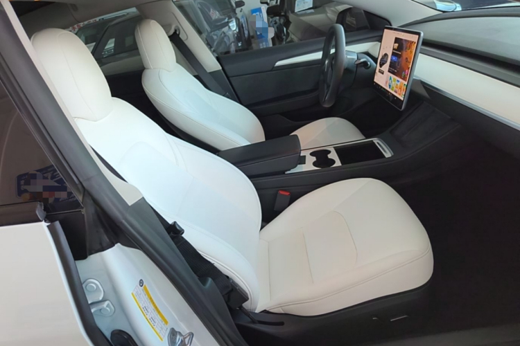 Tesla Model 3 2021 #24 Tesla Model 3 2021 car image #24