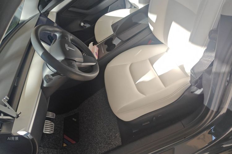 Tesla Model 3 2021 car image #17