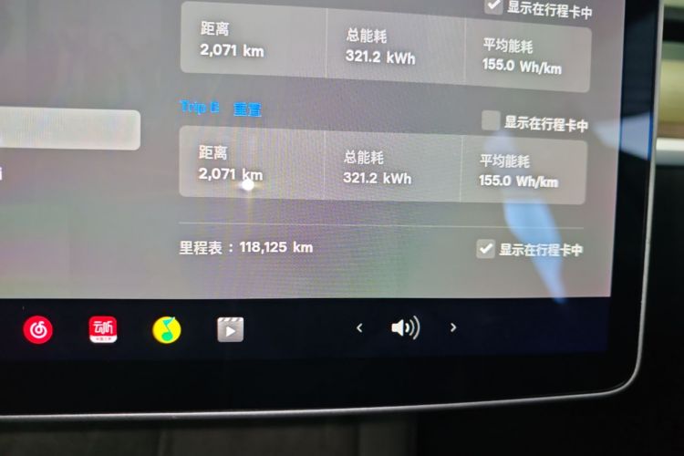 Tesla Model Y 2021 car image #12