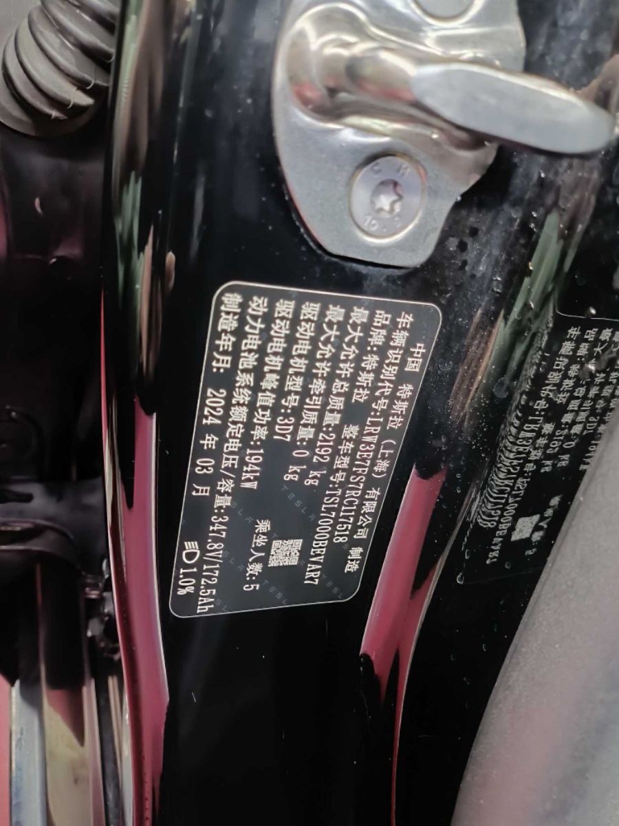 Tesla Model 3 2024 immagine di auto #12