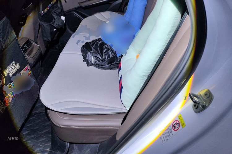 BYD Han 2020 #19 BYD Han 2020 immagine di auto #19