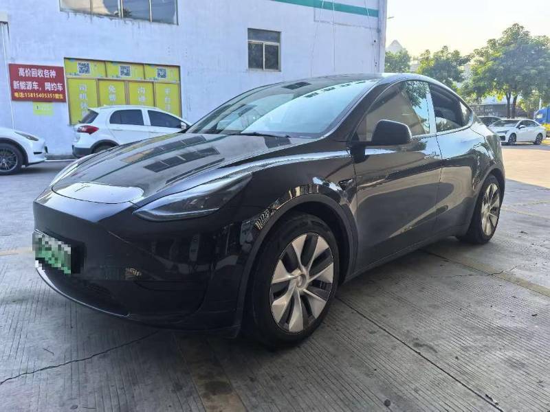 Tesla Model Y 2022 car image 