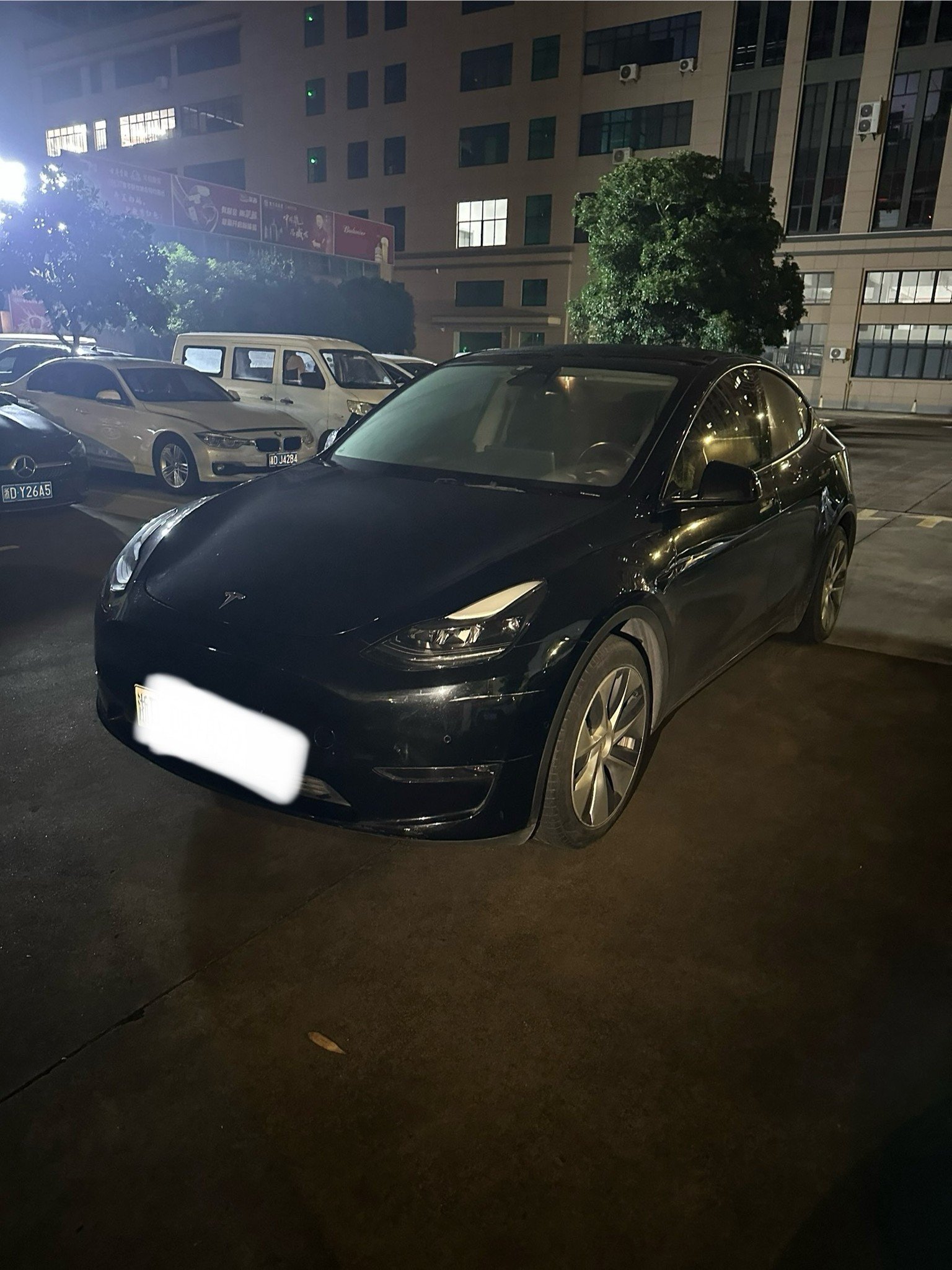 Tesla Model Y 2021 car image 