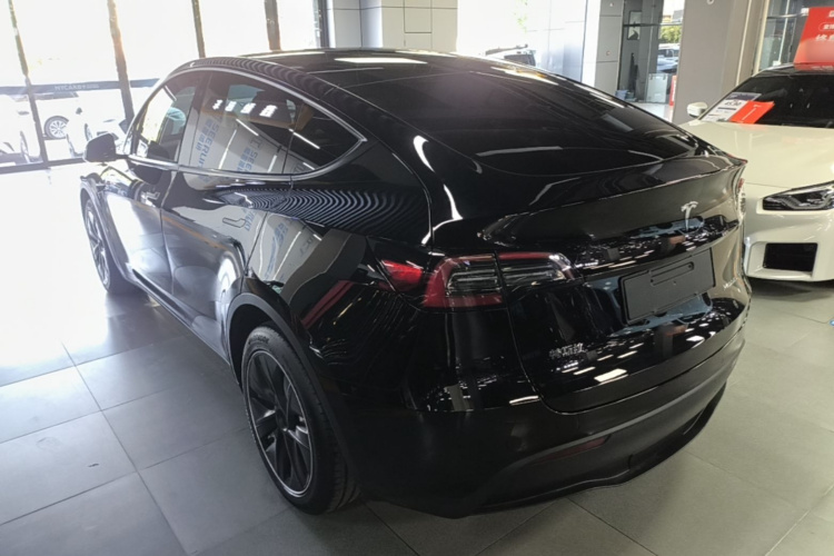Tesla Model Y 2021 car image #7