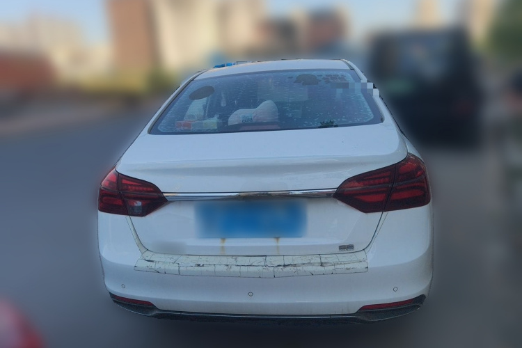 GEELY Emgrand 2019 imagen de coche #4