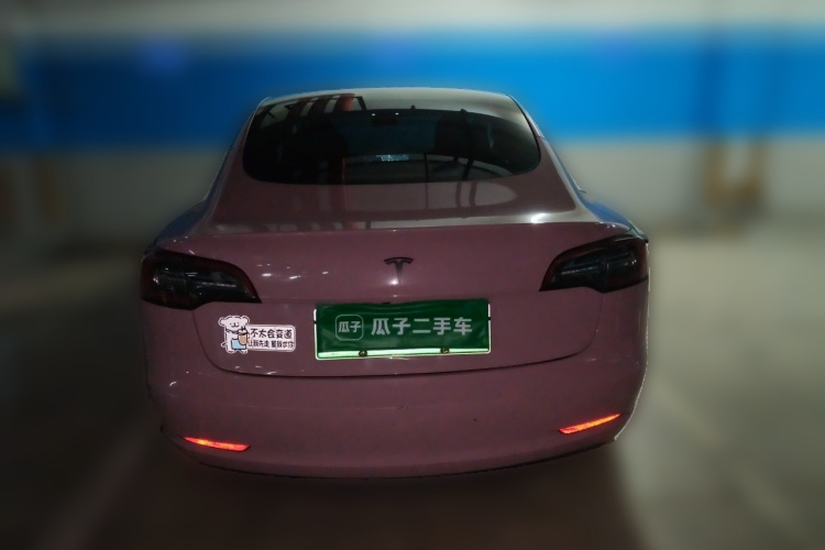 Tesla Model 3 2021 #6 Tesla Model 3 2021 car image #6