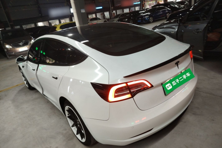 Tesla Model 3 2021 #5 Tesla Model 3 2021 car image #5