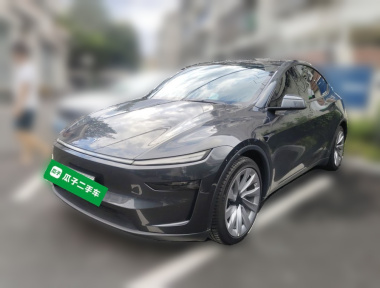 Tesla Model Y 2025 car image 