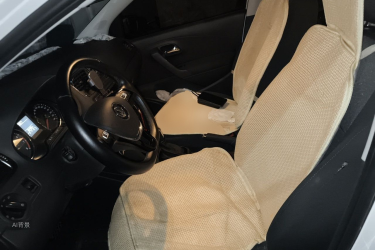 Volkswagen Polo 2016 car image #17