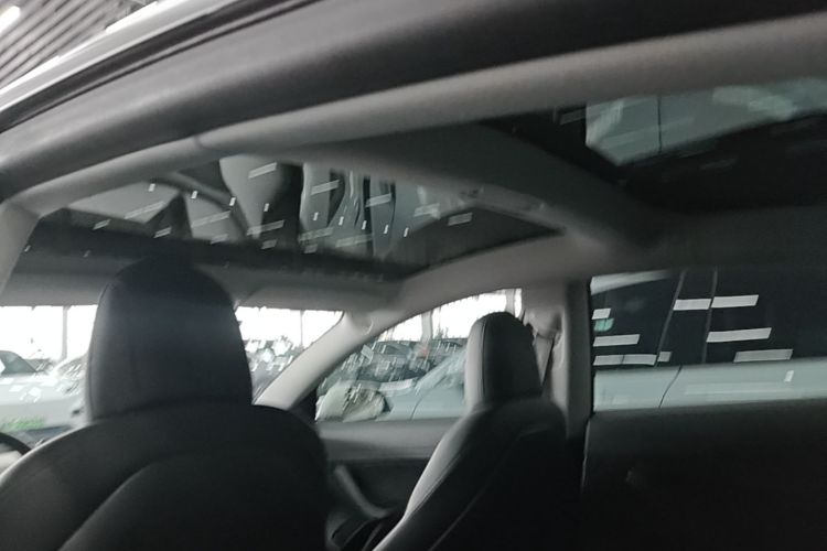 Tesla Model 3 2020 #20 Tesla Model 3 2020 car image #20