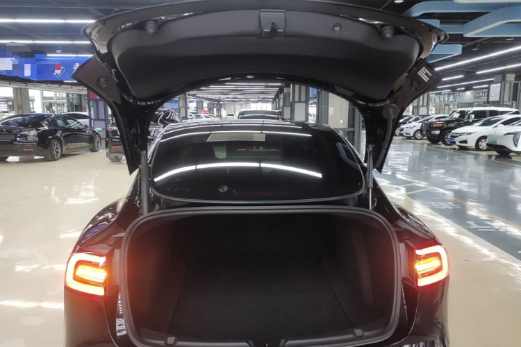 Tesla Model 3 2021 immagine di auto #21