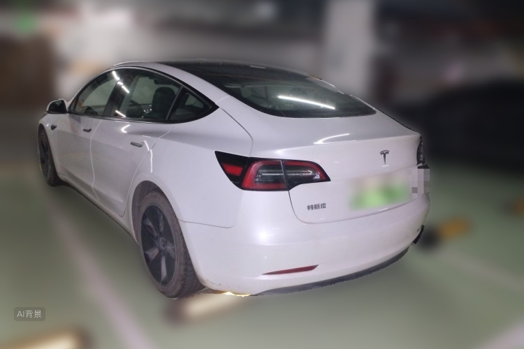 Tesla Model 3 2021 #5 Tesla Model 3 2021 car image #5