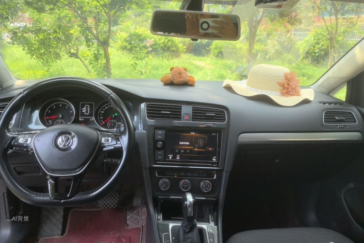 Volkswagen Golf 2019 car image #11