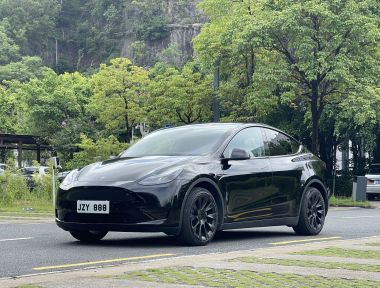Tesla Model Y 2022 car image 